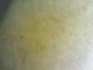 Kecantikan bokep kor ...